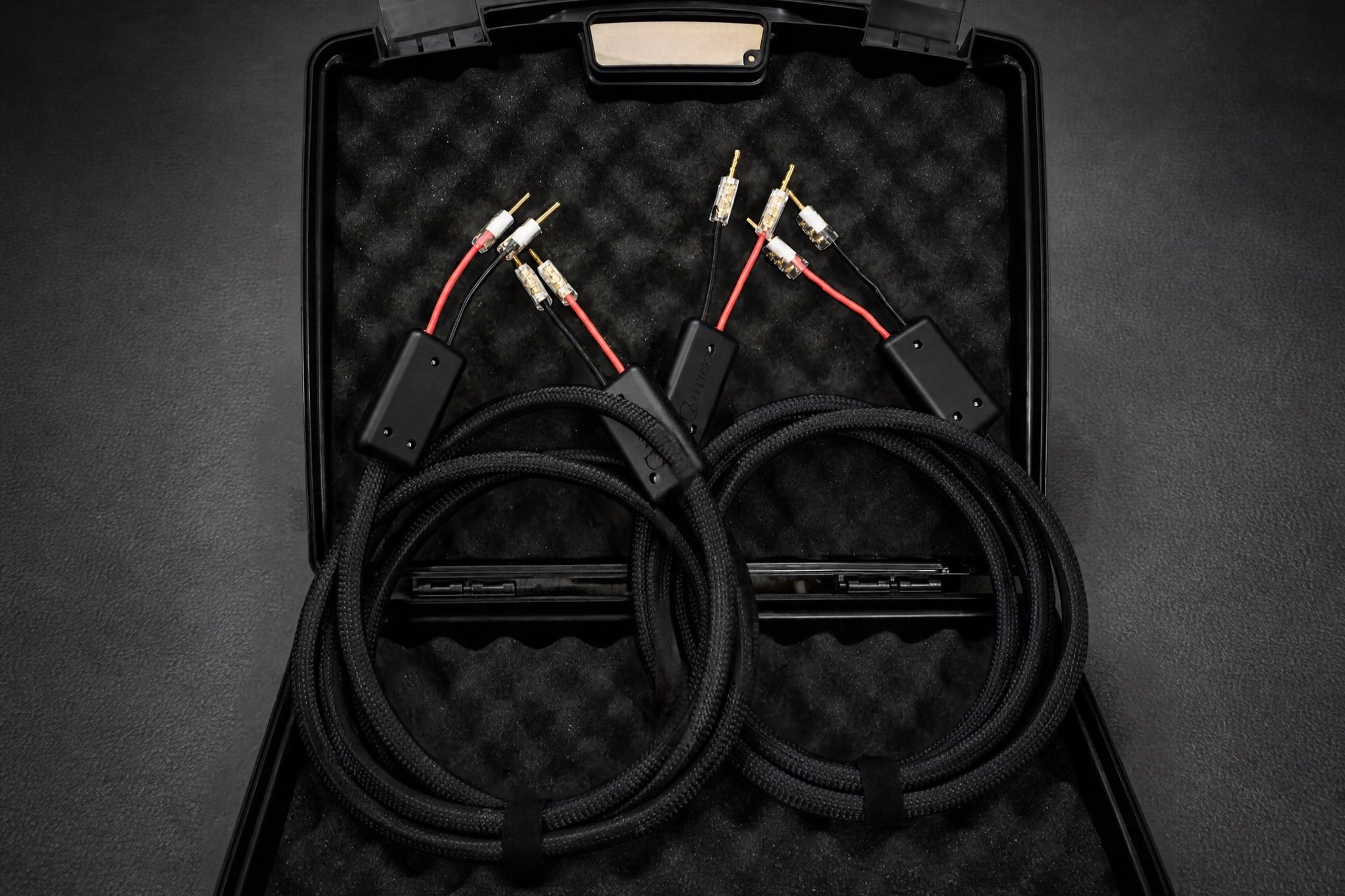 Cantico Aere speaker cables coiled in the carry case